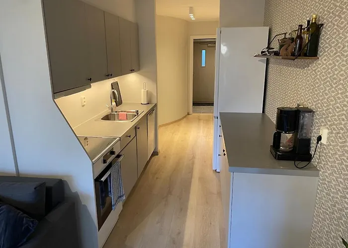 2-room Skoyen *